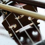 Geigen- / Violinenunterricht